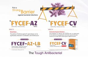 Fycef-CV