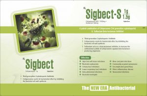 Sigbect-S