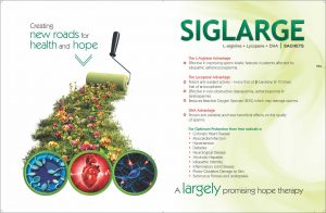 Siglarge
