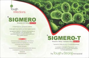 Sigmero&T