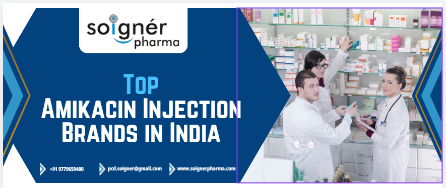 Top Amikacin Injection Brands in India